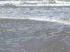 HWK Texel 151_small.jpg